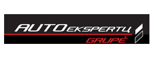 Autoekspertų grupė