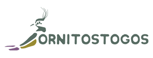 Ornitostogos
